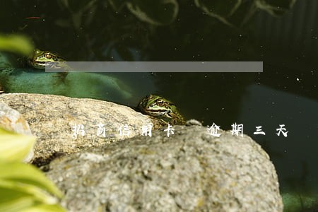 招商信用卡 逾期三天